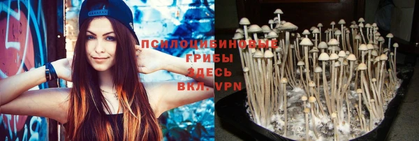 apvp Вязьма