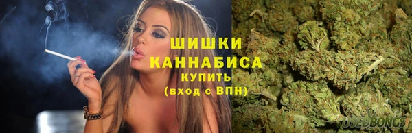 apvp Вязьма