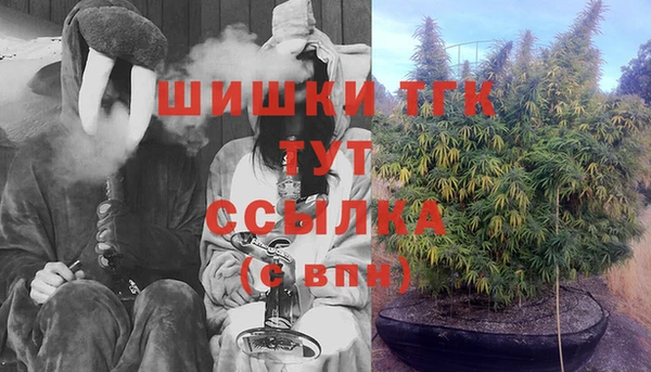 apvp Вязьма